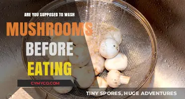 Mushroom Hygiene: To Wash or Not to Wash Before Eating?