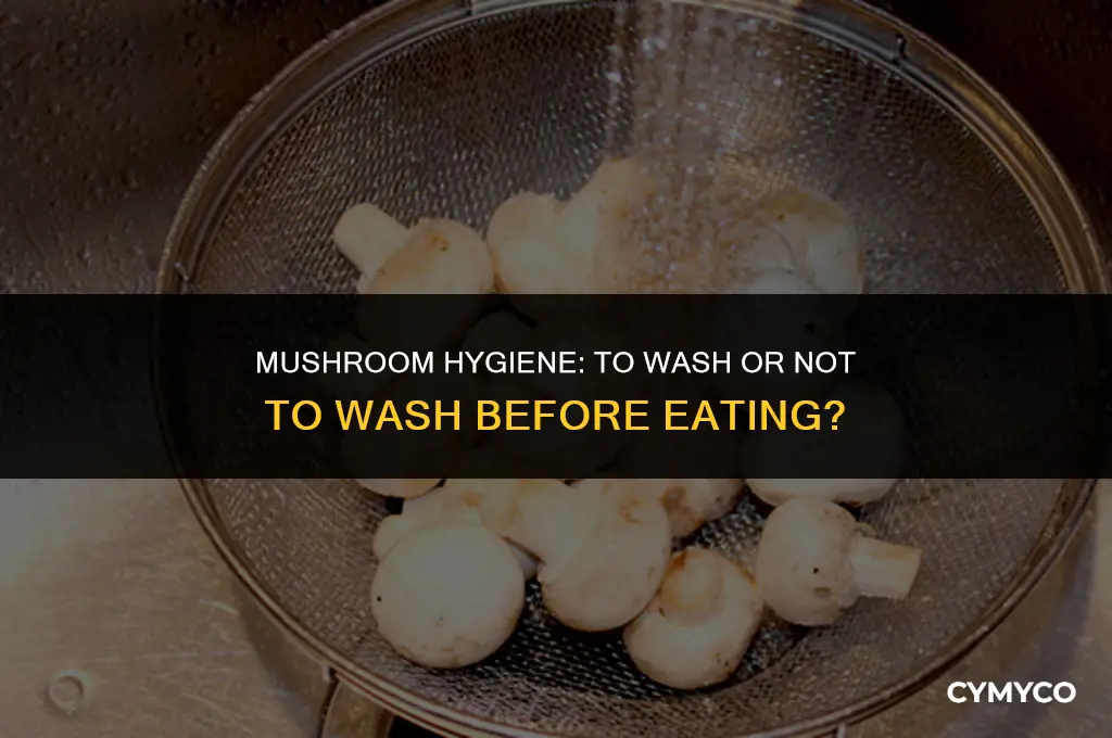 are you supposed to wash mushrooms before eating