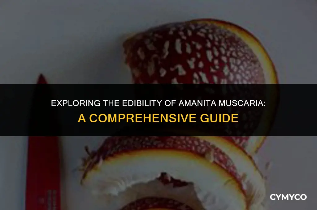can amanita muscaria be eaten