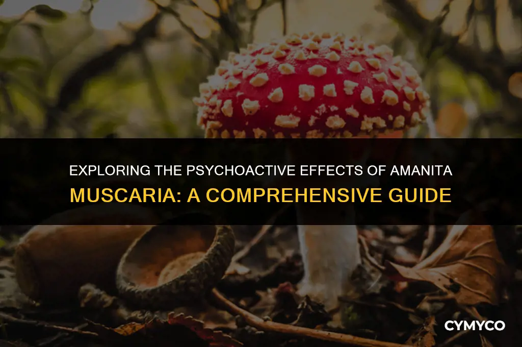 can amanita muscaria get you high