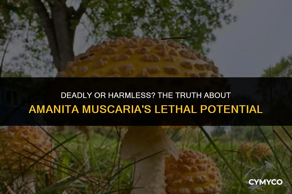 can amanita muscaria kill you