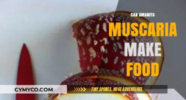 Exploring the Culinary Potential of Amanita Muscaria: A Tasty Venture?