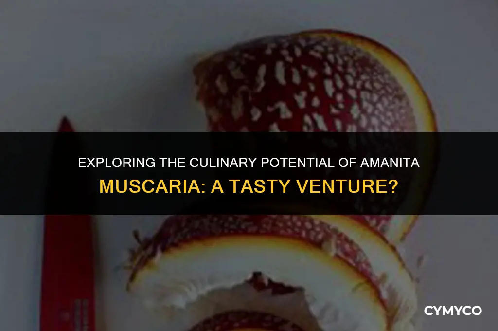 can amanita muscaria make food