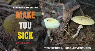 Exploring the Effects of Amanita Var. Gueswii: A Health Perspective