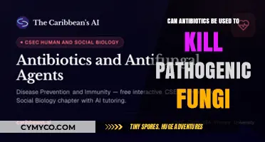Combating Pathogenic Fungi: The Role of Antibiotics in Treatment