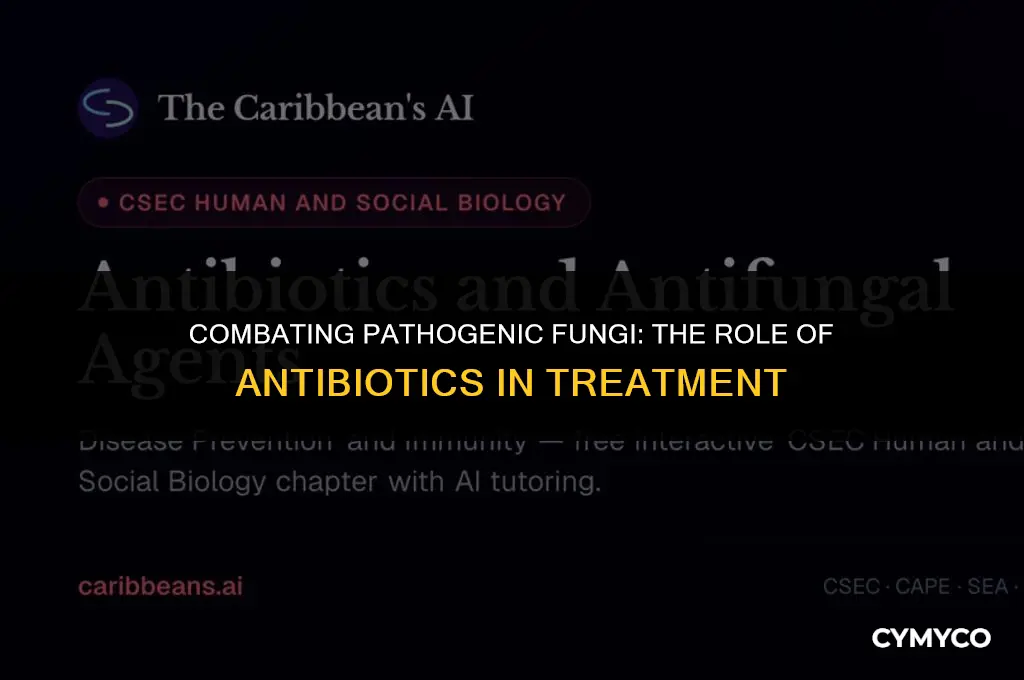 can antibiotics be used to kill pathogenic fungi