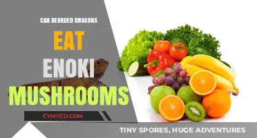 Can Bearded Dragons Safely Eat Enoki Mushrooms? A Diet Guide
