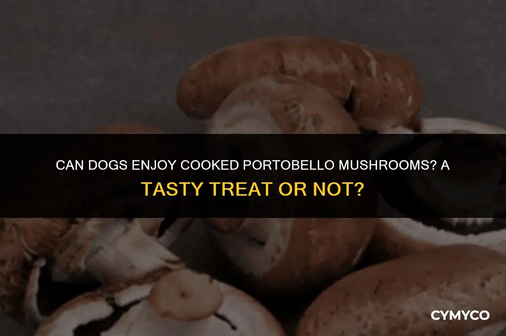 can dogs eat cooked portobello mushrooms