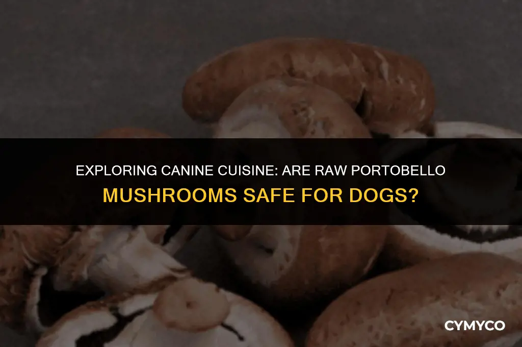 can dogs eat portobello mushrooms raw