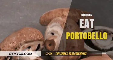 Can Dogs Feast on Portobello Mushrooms? A Complete Guide