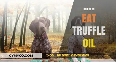 Can Dogs Eat Truffle Oil? A Safe or Risky Indulgence?