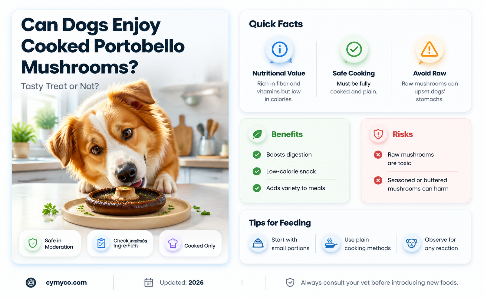 can dogs eat cooked portobello mushrooms