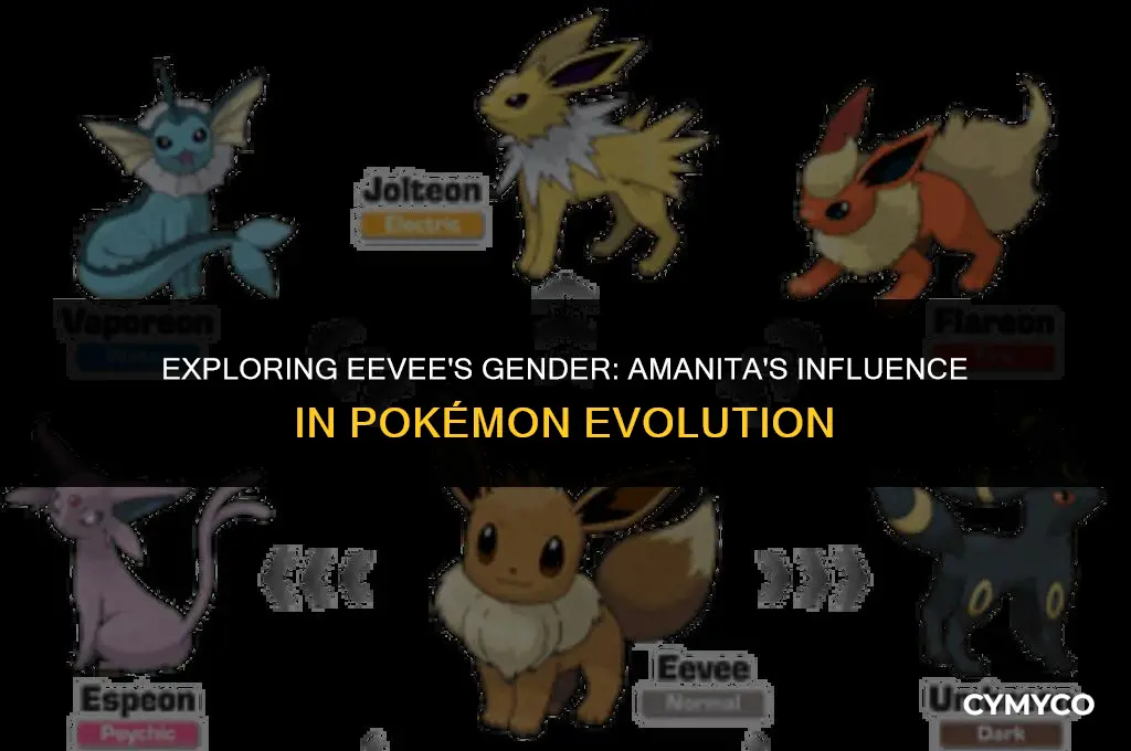 can eevee be female from amanita