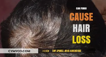 Exploring the Connection: Can Fungi Trigger Hair Loss?