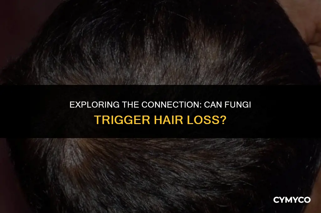can fungi cause hair loss