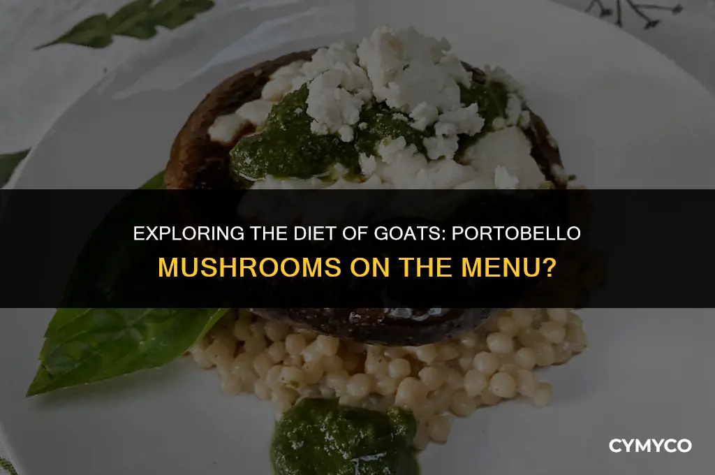 can goats eat portobello mushrooms
