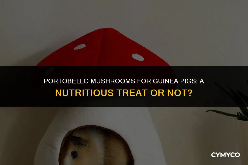 can guinea pigs eat portobello mushrooms