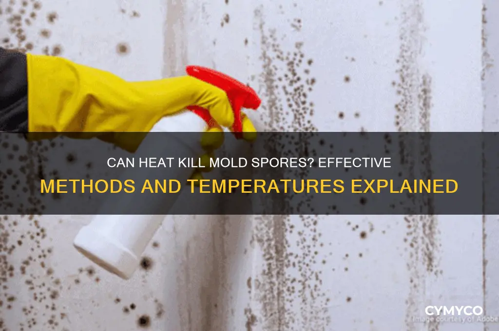 can heat kill mold spores