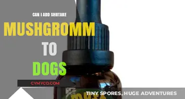 Shiitake Mushrooms for Dogs: A Nutritious Addition or a Risky Choice?