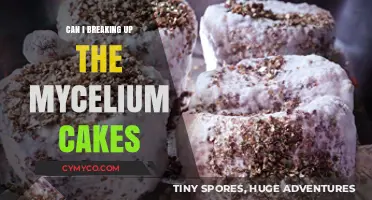 Breaking Up Mycelium Cakes: A Guide to Proper Cultivation Techniques