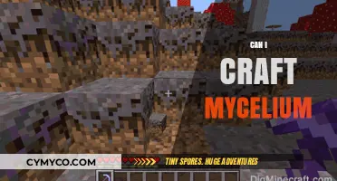 Exploring the Art of Mycelium Crafting: A Beginner's Guide