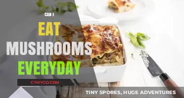 Daily Mushroom Consumption: Benefits, Risks, and Nutritional Insights