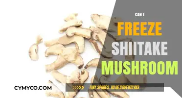 Freezing Shiitake Mushrooms: A Complete Guide to Preserve Freshness