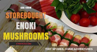 Growing Store-Bought Enoki Mushrooms: A Beginner's Guide to Success