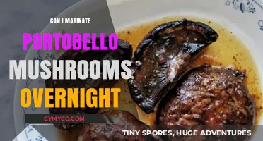 Overnight Marinating: A Guide to Perfect Portobello Mushrooms