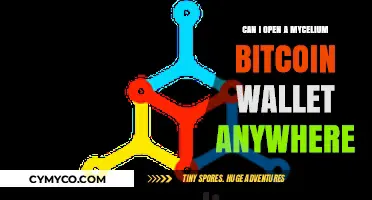 Exploring Mycelium Bitcoin Wallets: Accessibility and Usage Insights