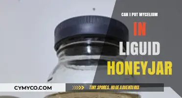 Exploring the Fusion: Mycelium in Liquid Honey Jars
