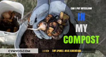 Enriching Your Compost: The Benefits of Adding Mycelium