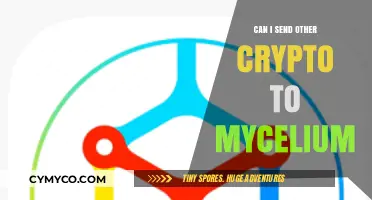 Exploring Crypto Transfers: Can You Send Other Cryptocurrencies to Mycelium?