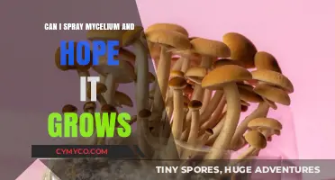 Spraying Mycelium: A Hopeful Approach to Mushroom Cultivation