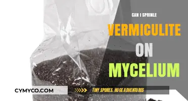 Enhancing Mycelium Growth: The Benefits of Vermiculite