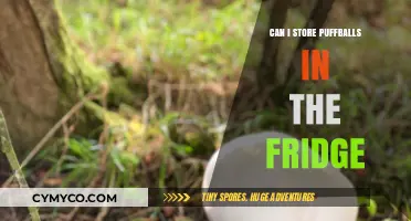 Freshness Preserved: The Ultimate Guide to Storing Puffballs in the Fridge