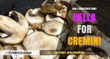 Baby Bella vs. Cremini: Perfect Mushroom Substitute for Your Recipes