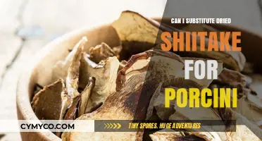 Elevate Your Cooking: Dried Shiitake as a Porcini Substitute