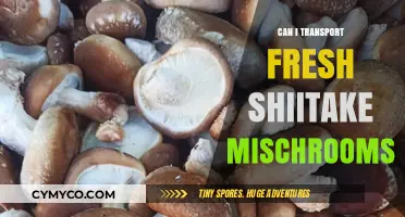 Fresh Shiitake Mushrooms: Transport Tips for Optimal Quality