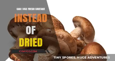 Fresh Shiitake vs. Dried: A Culinary Comparison for Your Kitchen