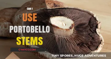 Exploring Culinary Uses: The Versatility of Portobello Stems