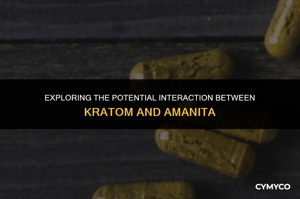 can kratom be used with amanita