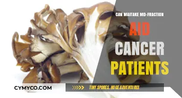 Maitake MD-Fraction: A Potential Cancer-Fighting Ally for Patients?