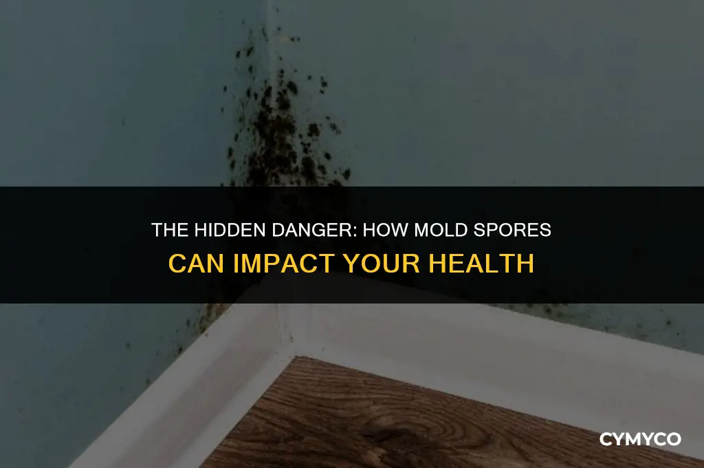 can mold spores make you sick
