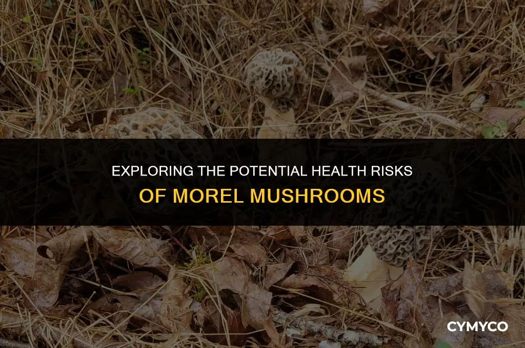 can morel mushrooms make you sick