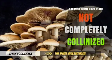 Can Mushrooms Thrive in Partially Colonized Jars? Key Insights