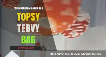 Can Mushrooms Thrive Upside Down in Topsy Turvy Bags?