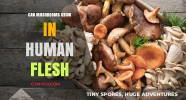 Can Mushrooms Grow in Human Flesh? Unraveling the Myth and Science