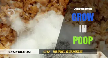 Can Mushrooms Thrive in Poop? Exploring Unusual Growth Conditions