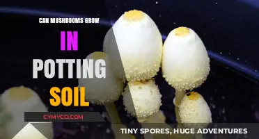 Can Mushrooms Thrive in Potting Soil? A Comprehensive Guide